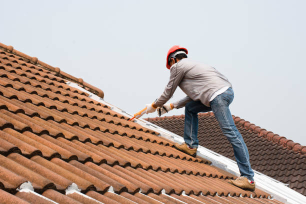 Best Rubber Roofing (EPDM, TPO)  in Bowman, ND