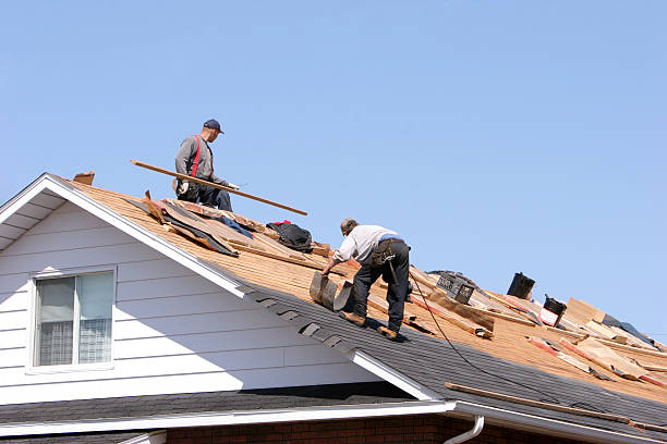 Best Sheet Metal Roofing  in Bowman, ND